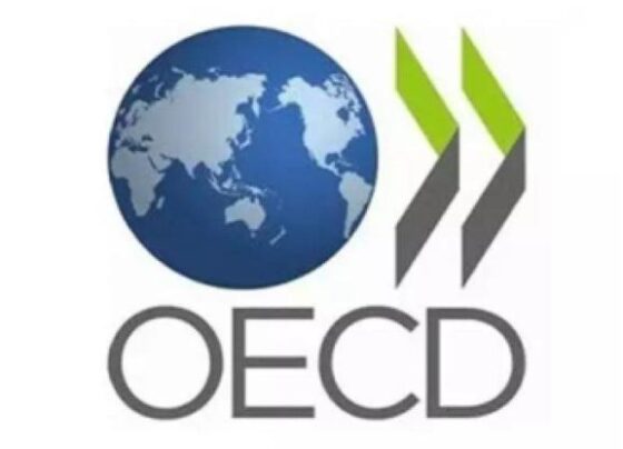 OECD, Türkiye için büyüme ve enflasyon tahminini açıkladı