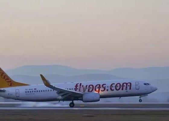 Pegasus tavan ücretini güncelledi