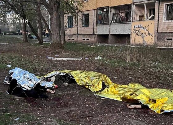 Zelenski'nin köyüne füze saldırısı