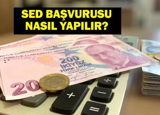 SED YARDIMI 2025: SED Ödemeleri Hesaplara Yattı Bakan Mahinur Özdemir Göktaş Açıkladı İşte Sosyal ve Ekonomik Destek Ödemeleri Sorgulama Ekranı