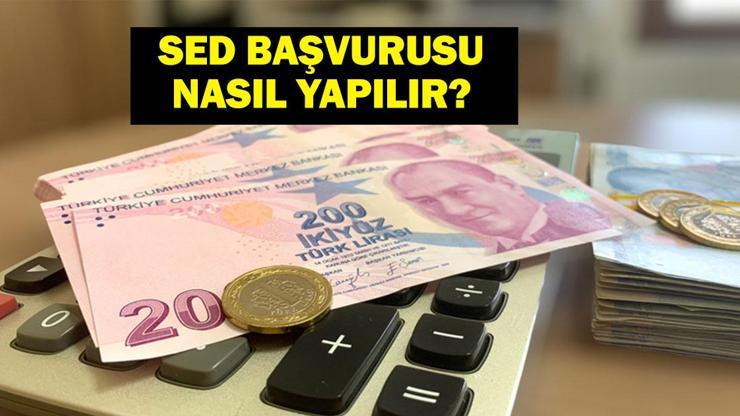 SED Ödemeleri Hesaplara Yattı! Bakan Mahinur Özdemir Göktaş Açıkladı! İşte Sosyal ve Ekonomik Destek Ödemeleri Sorgulama Ekranı