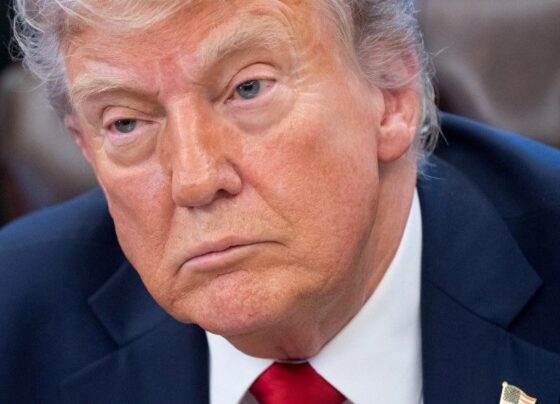 Trump'tan Putin'e: "Vladimir dur!"