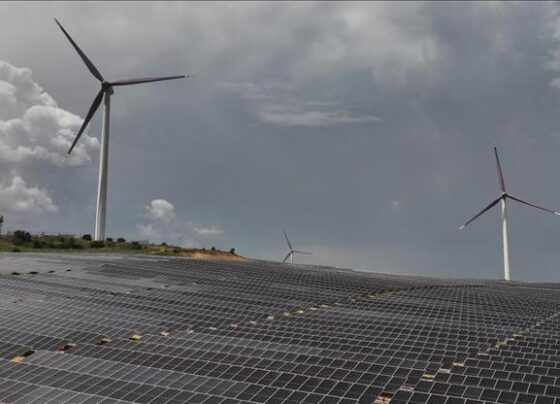 Türkiyenin elektrik kurulu gücünde rüzgar ve güneşin payı yüzde 30a ulaştı