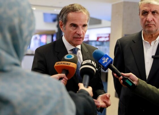 UAEA Başkanı: Ajans, İran ve ABD arasında köprü olabilir - Son Dakika Dünya Haberleri