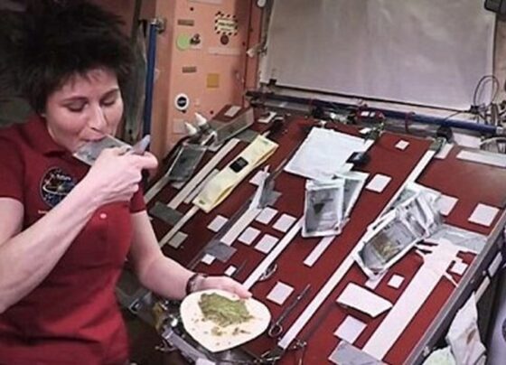 Uzayda yemek üretimi testi: İlk deneme Çin mantısıyla yapıldı - Son Dakika Dünya Haberleri