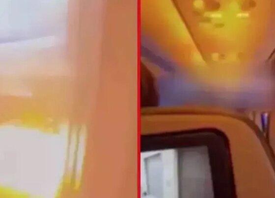 Yolcu uçağının motoruna tavşan girdi motor alev aldı! Havada korku dolu anlar