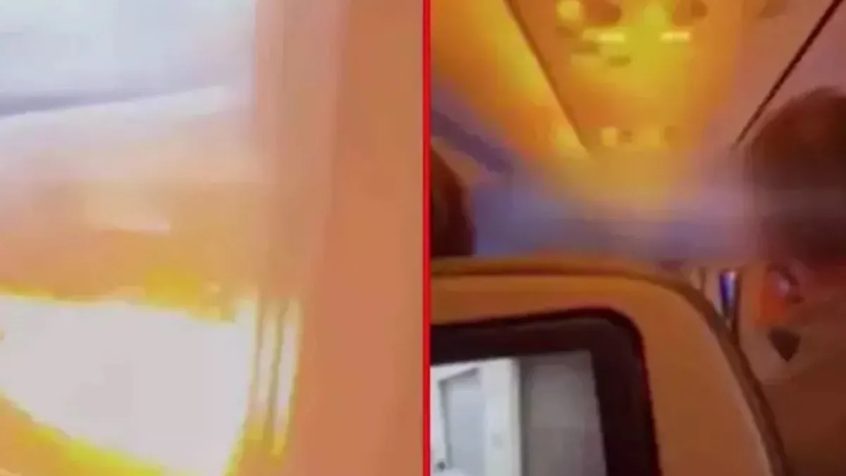 Yolcu uçağının motoruna tavşan girdi motor alev aldı! Havada korku dolu anlar