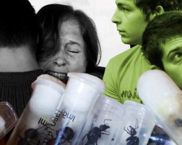 5 bin kraliçe arıyla yakalanan 4 gence "biyolojik korsanlık" cezası - Son Dakika Dünya Haberleri