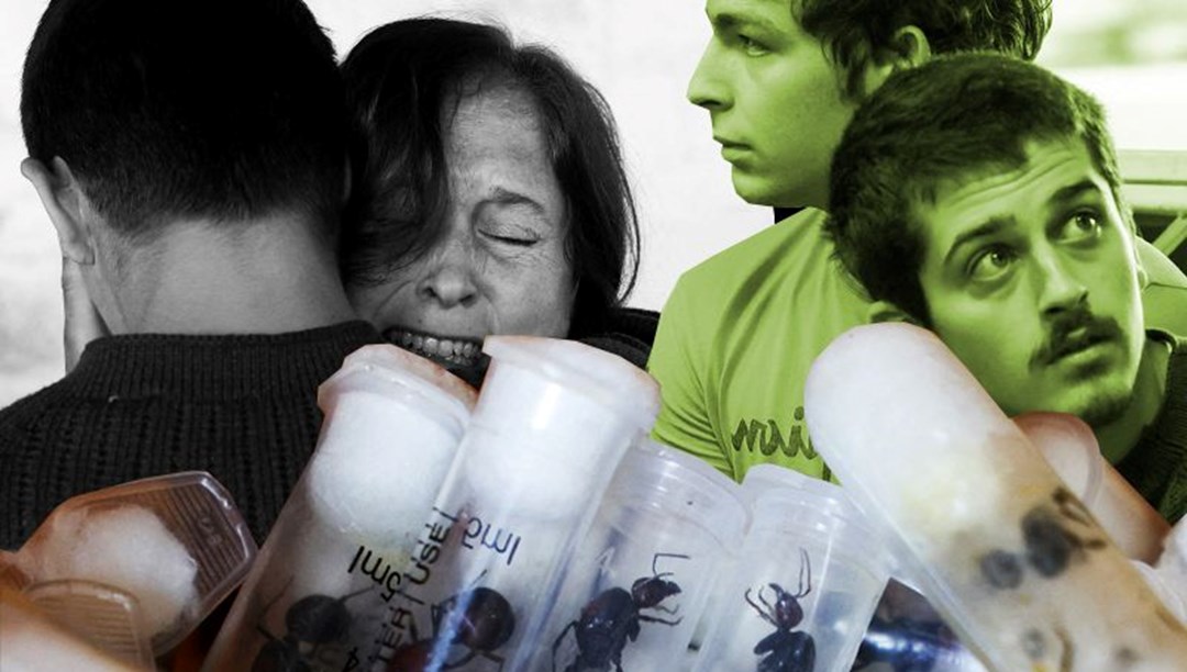 5 bin kraliçe arıyla yakalanan 4 gence “biyolojik korsanlık” cezası – Son Dakika Dünya Haberleri
