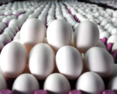 ABD'nin yeni tarifeleri yumurtacıları da etkileyecek mi?