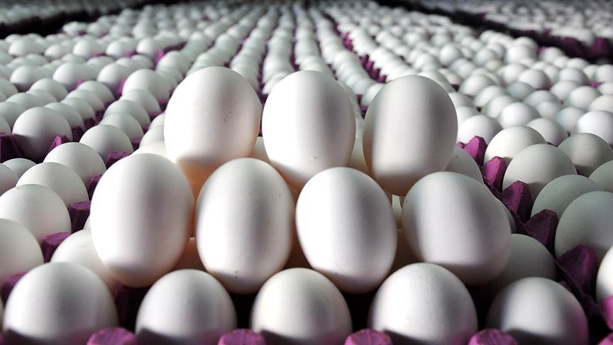ABD’li yumurta üreticisi Cal-Maine Foods’a soruşturma haberi