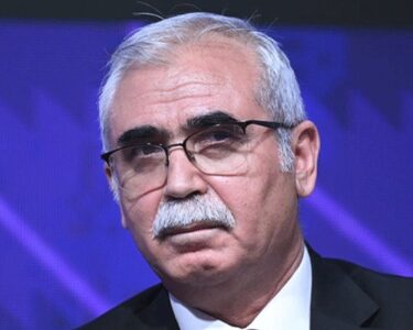 AYM Başkanı'ndan sokak hayvanları yasası açıklaması