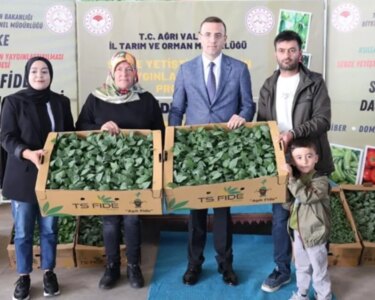 Ağrı’da 150 çiftçiye yüzde 75 hibeli 147 bin sebze fidesi dağıtıldı