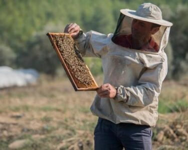 Arıcılara geçen yıl 984,6 milyon lira destekleme ödemesi yapıldı