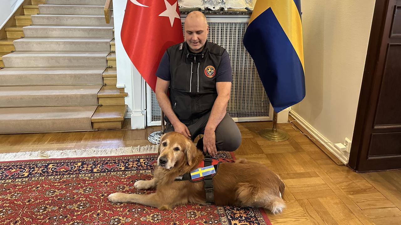Depremde 18 can kurtaran kahraman köpek Killian hayatını kaybetti haberi