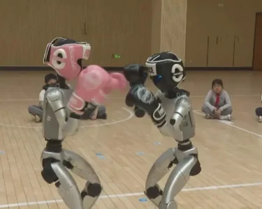 İnsansı robotlar, boks maçı için ringe çıkacak