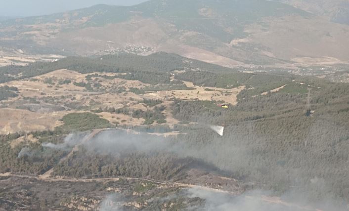 İzmir'in Aliağa ilçesinde ormanlık alanda yangın