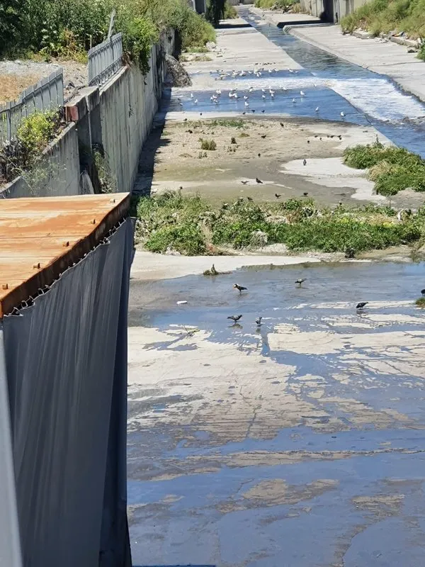 Kentsel atık suları arıtmadan deşarj eden İSKİ’ye 3,3 milyon TL ceza