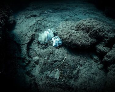 Mariana Çukuru bile var! Okyanusun her katmanında mikroplastik izi - Son Dakika Dünya Haberleri