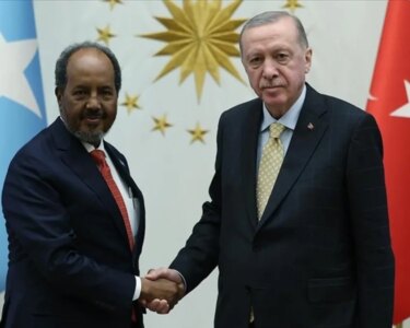 SON DAKİKA | Başkan Erdoğan Somali Cumhurbaşkanı Mahmud ile görüştü