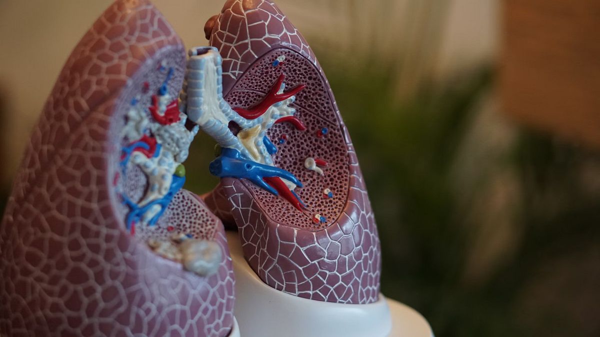 Sağlık Bakanlığı’ndan 81 ilde kilo taraması haberi