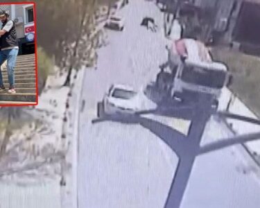 Fenomenin kardeşi kaçırıldı! Fidye olarak dükkan tapusu istendi