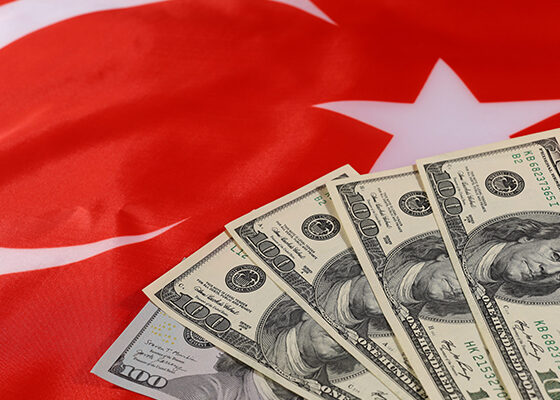 ING'den enflasyon ve dolar/TL tahminine revizyon