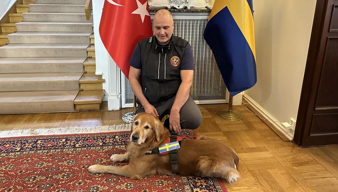 Türkiye’de göçük altında 18 kişiyi kurtarmıştı: İsveç’in kahraman köpeği hayatını kaybetti – Son Dakika Dünya Haberleri