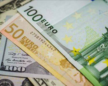 Euro yeni rezerv para mı?