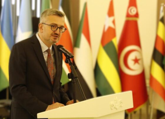 disisleri-bakan-yardimcisi-duran-burkina-faso-ya-gidecek-4121