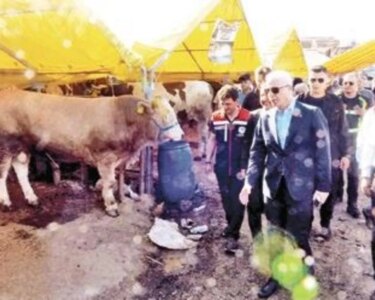 Kurbanlıkların çoğu satıldı - Son Dakika Haberler