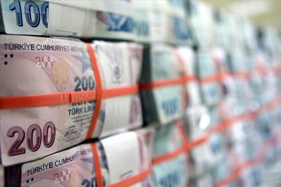 Hazine alacakları ocak sonu itibarıyla 253,1 milyar lira oldu