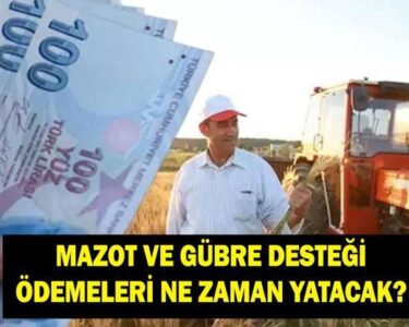 MAZOT VE GÜBRE DESTEĞİ ÖDEMESİ NE ZAMAN YATACAK? Şubat 2026 mazot ve gübre desteği ödeme tarihleri belli oldu mu? Cumhurbaşkanı Erdoğan'dan açıklama!