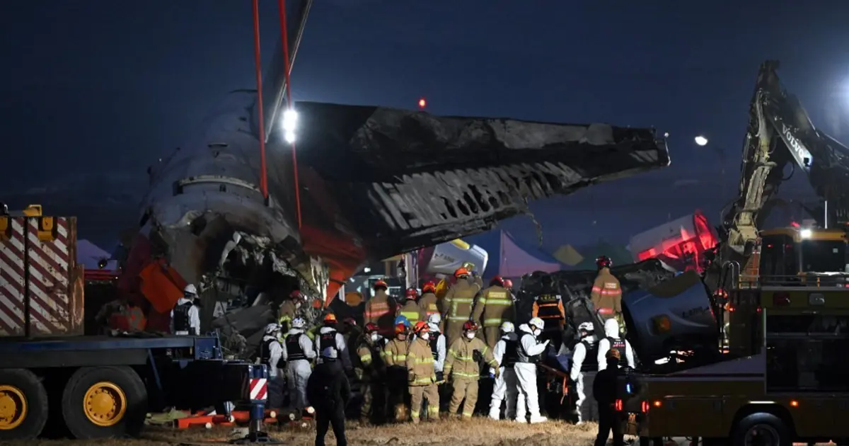 179 can alan uçak kazasının gizemi çözüldü