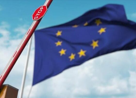 AB’den gümrük reformu: E-Ticaret ve platformlara yeni kurallar