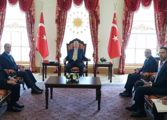 Başkan Erdoğan, Dünya Ekonomik Forumu Başkanı Fink'i kabul etti