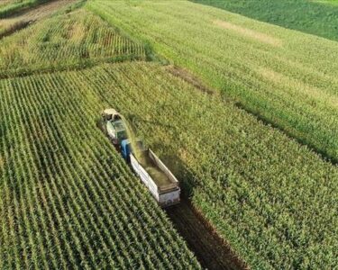 Tarım ve Orman Bakanlığı’ndan 3 yılda 65,5 milyar TL’lik Kırsal Kalkınma Yatırımı