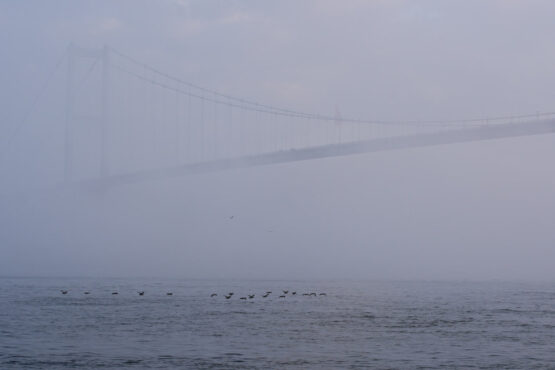 İstanbul'da göz gözü görmüyor haberi