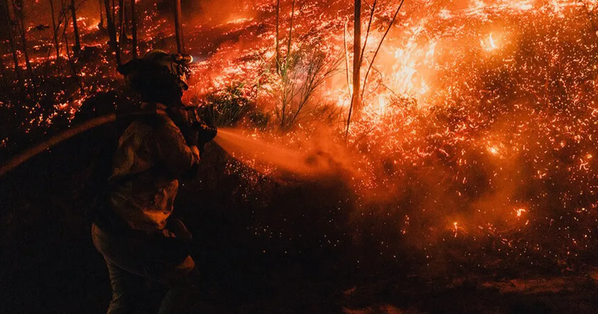 Japonya’da ormanlar yanıyor | NTV Haber