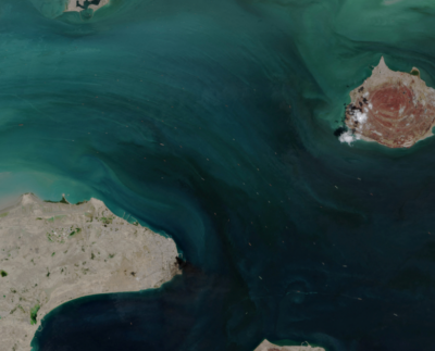 Pentagon raporu: Hürmüz’de mayın temizliği 6 ay sürebilir