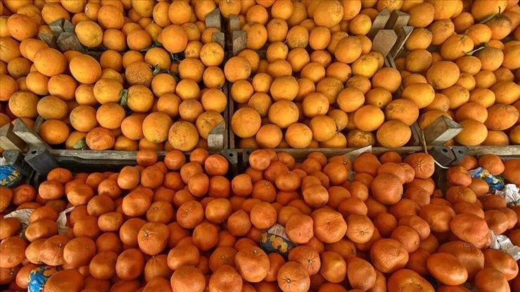 Türkiyenin turunçgil ihracatı ilk çeyrekte rekor büyüme gösterdi