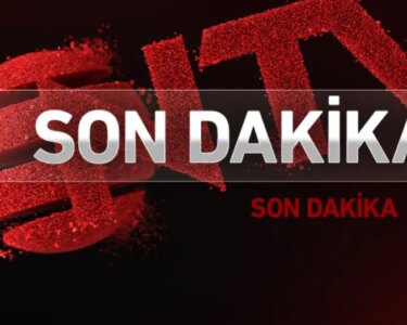Almanya'da araç kalabalığın arasına daldı