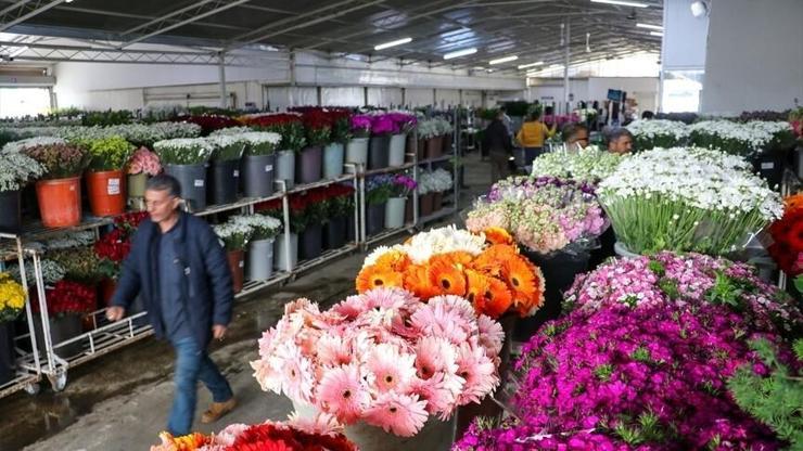 Anneler Günü öncesi İzmirden Türkiye Geneline 8 Milyon Dal Çiçek Gönderildi