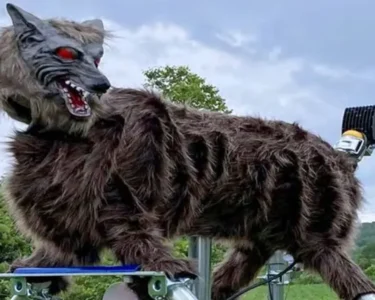 Japonya, Monster Wolf, ayı saldırısı, robotik, Ohta Seiki