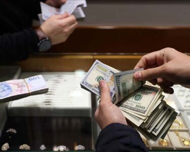 Ekonomi yönetimi üzerine IMF polemiği büyüyor haberi