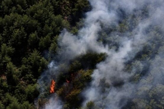 Fethiye'de ormanlık alanda yangın çıktı haberi