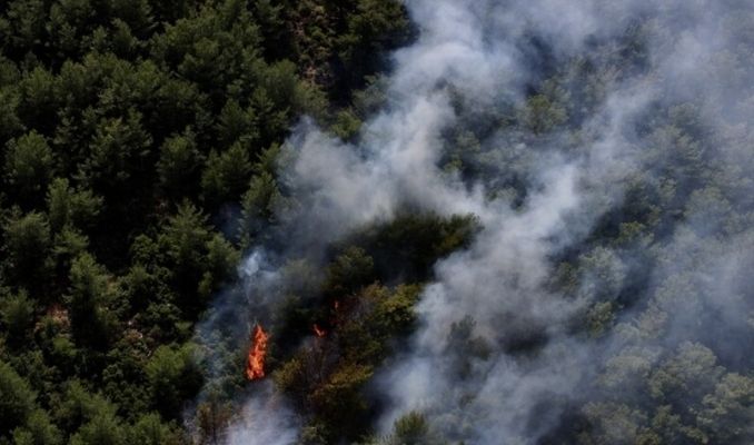 Fethiye’de ormanlık alanda yangın çıktı haberi