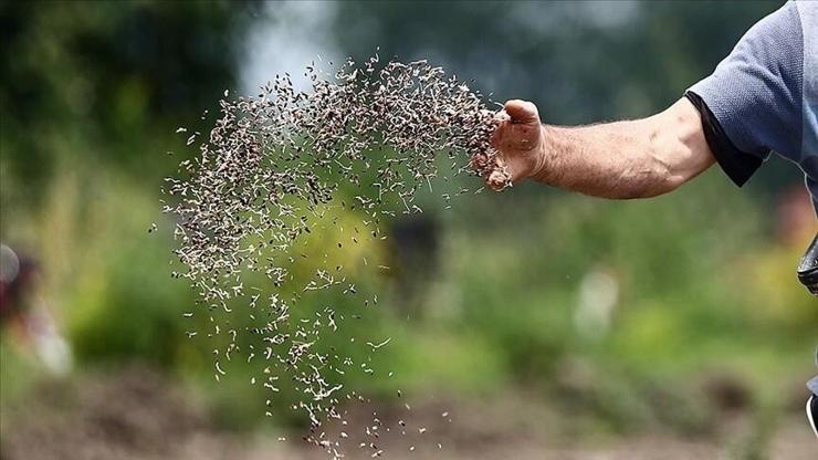 Türkiyenin sertifikalı tohum ihracatı 20 yılda 8 kat arttı