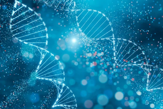 genetik kod, amino asit, E. coli, ribozom, yapay zeka